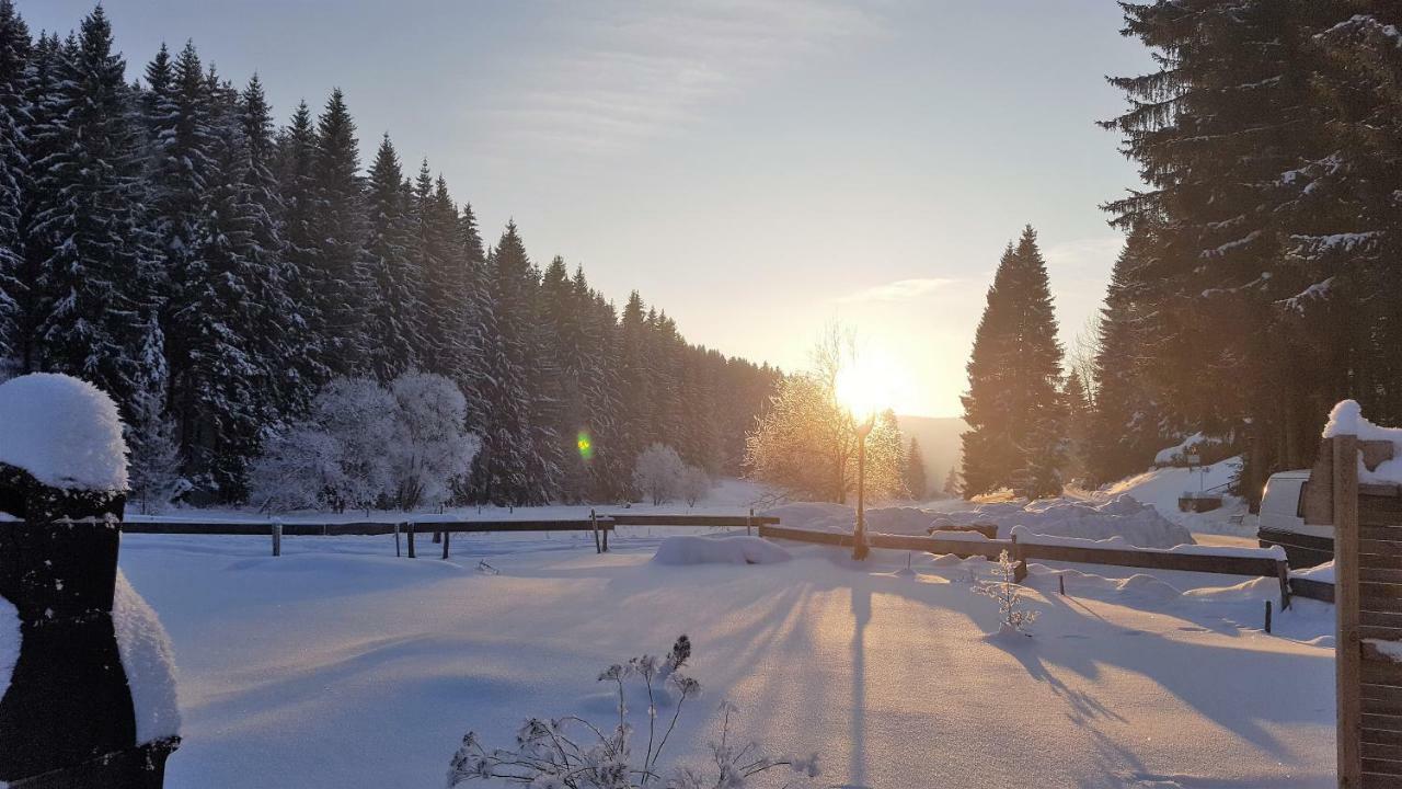 Pension & Gasthof "Am Park" Ug Stutzerbach Экстерьер фото